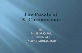 THE PUZZLE OF X CHROMOSOME    "alice test"