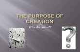 The purpose of creation. why are we humans created a question that confuses everybody at sometime of thier life.