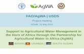 Support to Agricultural Water Management in the Horn of Africa through the Partnership for Agricultural Water in Africa (AgWA)