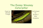 The Eensy Weensy Caterpillar