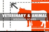 VETERINARY AND ANIMAL WEIGHING SCALES TAMILNADU