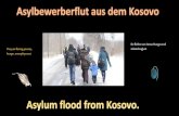 Asylum flood (fil eminimizer)