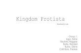 Activity 2   kingdom protista - biodiversity lab