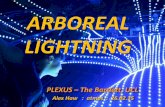 Alex Haw lecture 150126 -- plexus - The Bartlett, UCL - Arboreal Lightning