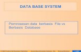 Database  System