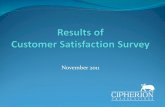 Cipherion - Customer Satisfaction Survey