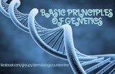 Basic Principles of Genetics