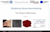 Modeling Bone Remodeling - The Influence of Microcracks