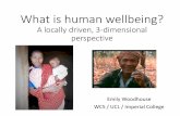 Equity workshop: What is human wellbeing?