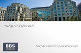 Work Visa for Brazil, Brief Description of the Procedure