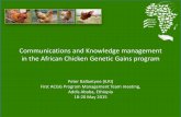 Communications and Knowledge management in the African Chicken Genetic Gains program