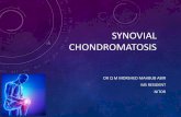 Synovial chondromatosis