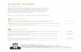 Pmi pmp-resume template-12