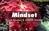Mindset- Growth Mindset V Fixed Mindset
