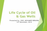 Life Cycle of Oil & Gas Wells