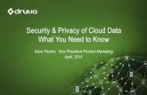 Security and privacy of cloud data: what you need to know (Interop)