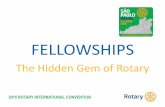 Fellowships - The Hidden Gem of Rotary