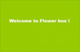 Bình hoa đẹp Flower box - New Vase Samples 2015