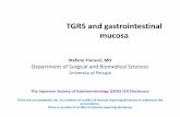 Tgr5  and intestinal mucosa