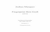 Fingerprint Skin Graft score