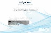 20080826   itv2 f it service management foundation (based on itil®) - exin