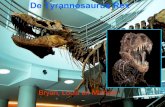 De Tyrannosaurus Rex 01