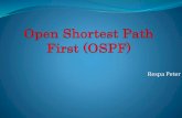 Open shortest path first (ospf)