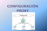 Configuracion proxy Windows server 2008