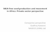 MLN-free seed production and movement in Africa: Private sector perspective