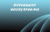 Different ecosystems