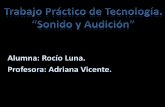 Sonido y Audición por Rocío Luna