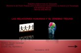 El cerebro triuno y las relaciones humanas