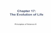 Ch17 evolution of life