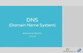 DNS Windows Server 2008