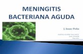 Meningitis bacteriana presentacion 23  slides