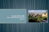 Do you really know everything about Culiacan?