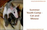 Summer Youth Camp - Cat and Mouse