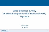 Who poaches at Bwindi impenetrable national park and why -DICE 010415