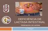 Deficiencia de Lactasa Intestinal