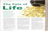 Fihn fats of life