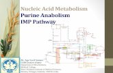 Nucleic acid metabolism lecture nam01