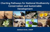 Charting pathways for biodiversity and sustainable development