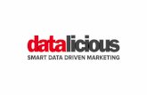 Datalicious service overview