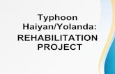 Rehabilitation after typhoon Haiyan Philippines