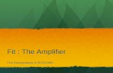 Chapter 6 Fit-The Amplifier