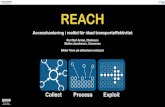 REACH - Accesshantering i realtid för ökad transporteffektivitet