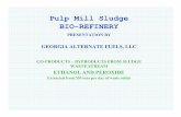 Pulp Mill Sludge Ethanol Project[1]