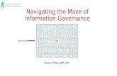 ACEDS Information Governance Webcast 3-11-15