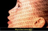 Why is data science hot
