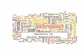 Politics in social organisations
